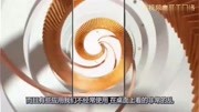 茶蜂蜜奶茶咖啡网180_101怎样发动画表情的视频图片