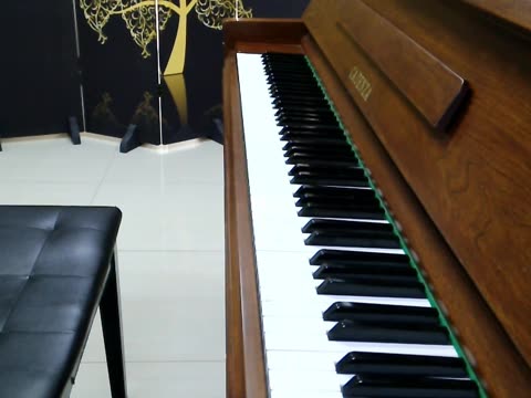 『自弹自奏』钢琴翻弹 bluebossa