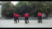 小雨广场舞 红雪莲【双人舞】